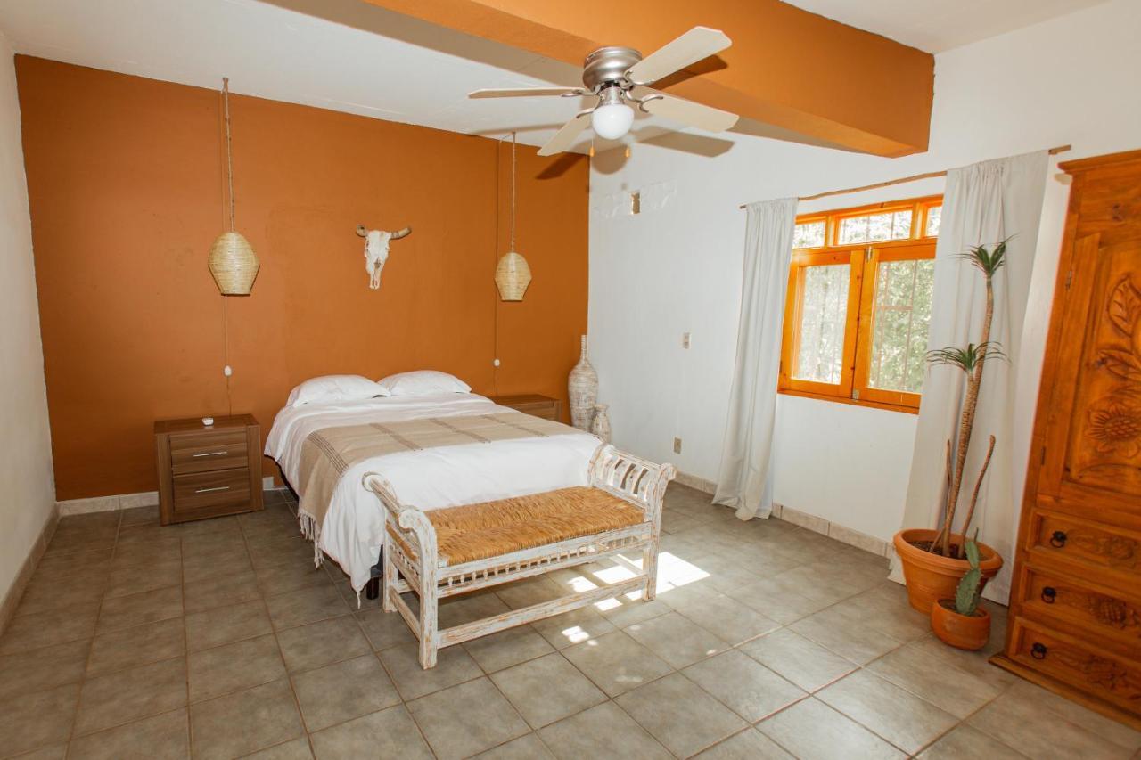 Cien Palmas- Authentic Mexican Casita 1 -Downtown Todos Santos Kültér fotó